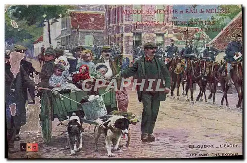 Cartes postales Chien Chiens Publicite Alcool de menthe et eau de Melisse Carmes du Frere Mathias Marseille L&#3