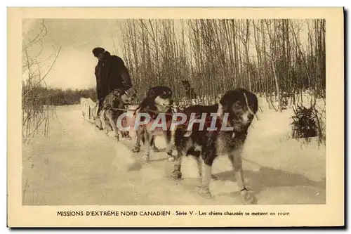 Cartes postales Chien Chiens Mission d&#39extreme Nord Canadien les chiens chausses se mettent en route