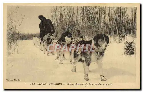 Ansichtskarte AK Chien Chiens Aux glaces polaires Chiens chausses de leurs souliers de cuir