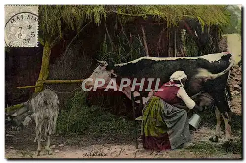 Ansichtskarte AK Folklore Lait Femme a l&#39etable Vache Chevre