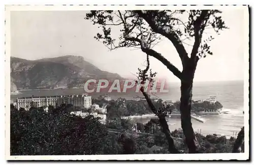 Cartes postales moderne Beaulieu sur Mer Vue sur la cote et Tete de chien