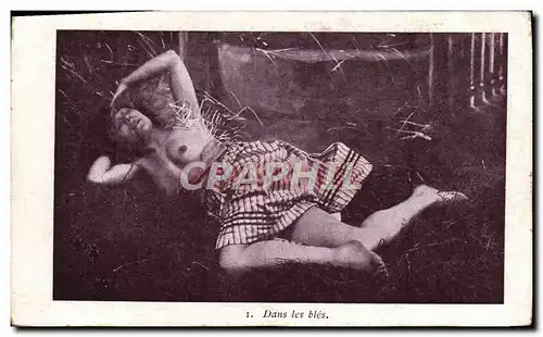 Cartes postales Femme Nu erotique Dans les bles