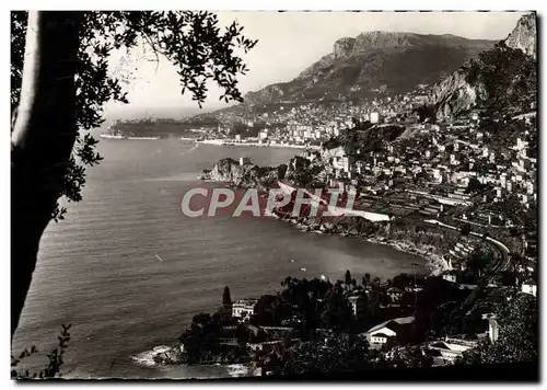 Cartes postales Monte Carlo Vu de Roquebrune