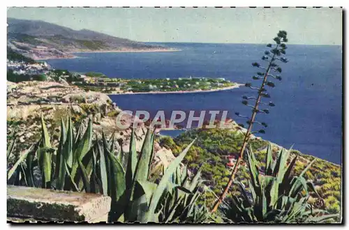 Cartes postales Le Cap Martin Vue Prise du Rond Point de la Turbie