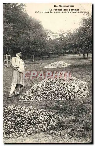 Ansichtskarte AK Normandie La recolte des pommes