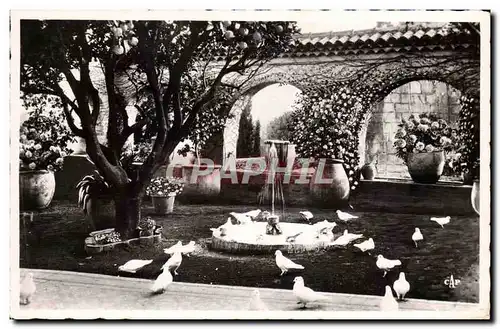 Cartes postales Saint Paul De Vence La Colombe d&#39Or Vue generale