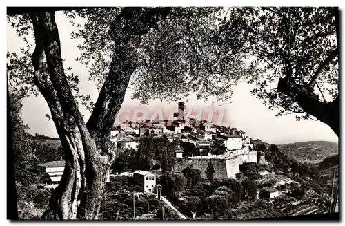 Cartes postales moderne Saint Paul Vue Prise entre les Olivers