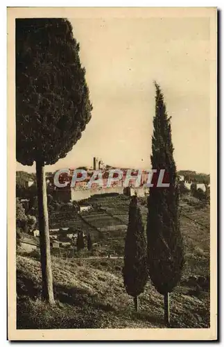 Cartes postales Saint Paul Vue Generale a travers les Cypres