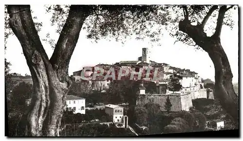 Cartes postales moderne Saint Paul Vue a travers les oliviers