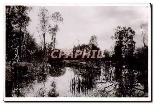 Moderne Karte Fontainebleau La foret La mare aux fees