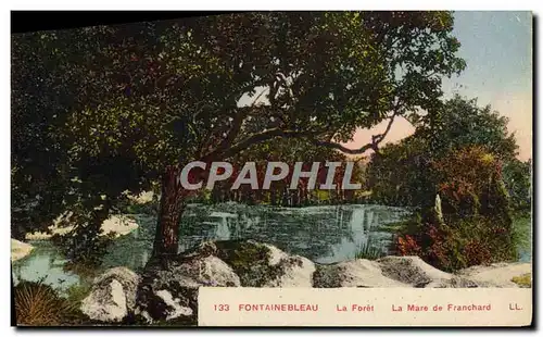 Cartes postales Fontainebleau La Foret La Mare de Franchard