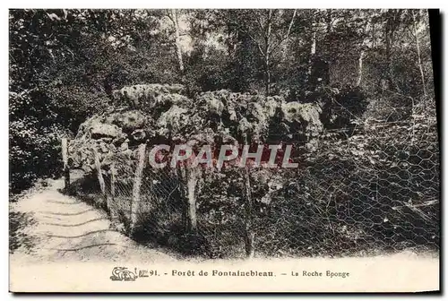 Cartes postales Foret De Fontainebleau La Roche Eponge