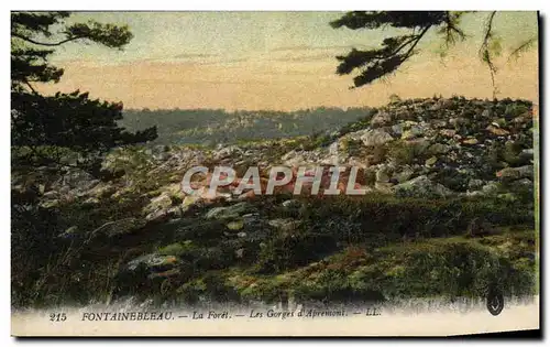 Ansichtskarte AK Fontainebleau La Foret Les gorges d&#39Apremont