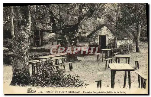 Ansichtskarte AK Foret De Fontainebleau Fontaine Sanguinede Vallee de la Solle