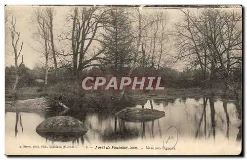 Ansichtskarte AK Foret De Fontainebleau Mare aux Pigeons