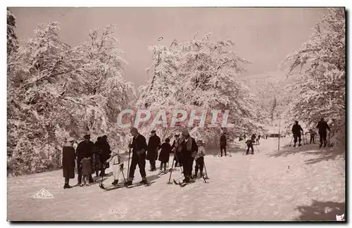 Cartes postales Sports d&#39hiver Ski Hautes Vosges La Schlucht La piste des skieurs