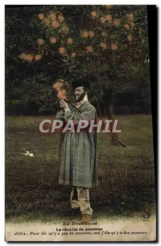 Ansichtskarte AK Alcool Normandie Recolte des pommes