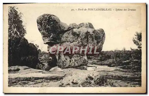 Ansichtskarte AK Foret de Fontainebleau Sphinx des druides