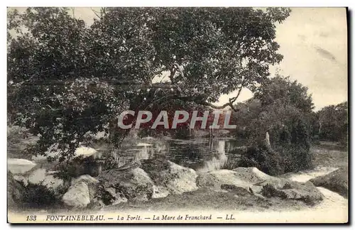 Cartes postales Fontainebleau La foret la mare de Franchard