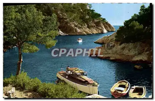 Cartes postales moderne Cassis Le Port Pin et Les Calanques