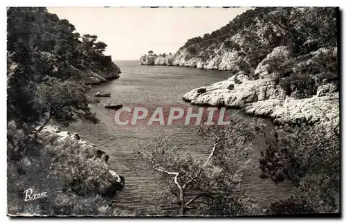 Cartes postales moderne Baie de Cassis Calanque de Port Pin