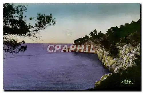 Cartes postales moderne Cassis Sur Mer Calanque de Port Miou La Pointe