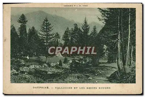 Cartes postales Le Dauphine Vallouise Et Les Boeufs Rouges