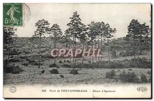 Ansichtskarte AK Foret de Fontainebleau Desert d&#39Apremont