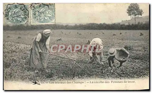 Cartes postales Travaux des champs La recolte des pommes de terre