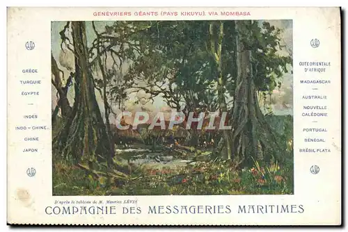 Cartes postales Bateau Compagnie des Messageries Maritimes Genevriers geants pays Kikuyu Via Mombasa