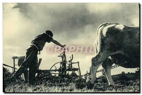 Cartes postales Scout Jamboree Compagnons de France Sillon apres sillon acheve ta tache