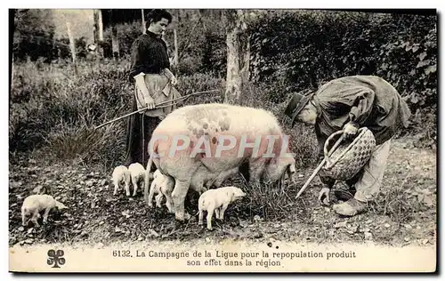 Ansichtskarte AK Cochon Porc Folklore