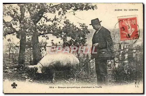 Cartes postales Cochon Porc Folklore Groupe sympathique cherchant la truffe