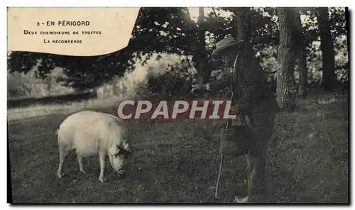 Cartes postales Cochon Porc Folklore En Perigord Deux chercheurs de truffe La recompense