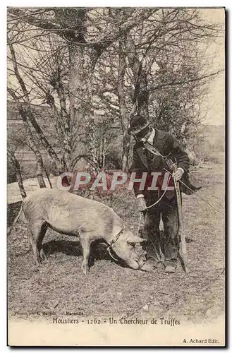 Cartes postales Cochon Porc Folklore Moustiers Un chercheur de truffes TOP