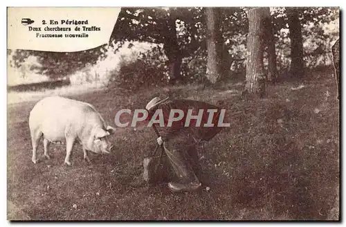 Cartes postales Cochon Porc Folklore Deux chercheurs de truffes Perigord