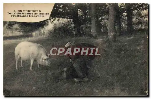 Cartes postales Cochon Porc Folklore en Perigord Deux chercheurs de truffes Fructueuse trouvaille