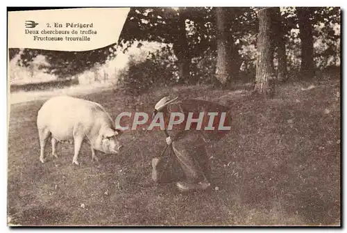 Cartes postales Cochon Porc Folklore en Perigord Deux chercheurs de truffes Fructueuse trouvaille