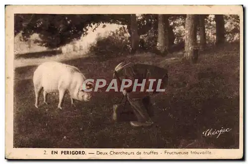 Cartes postales Cochon Porc Folklore en Perigord Deux chercheurs de truffes Fructueuse trouvaille