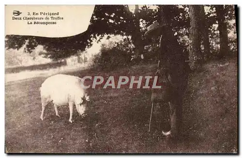 Cartes postales Cochon Porc Folklore en Perigord Deux chercheurs de truffes La recompense