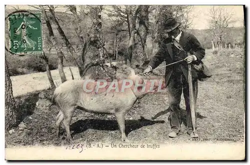 Ansichtskarte AK Cochon Porc Folklore en Perigord Un chercheur de truffes