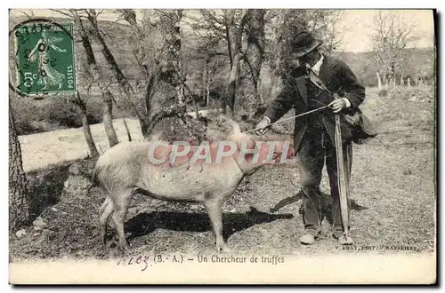 Cartes postales Cochon Porc Folklore en Perigord Un chercheur de truffes