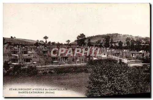 Cartes postales Etablissement avicole du Chanteclair Sainte Catherine Miel Abeille