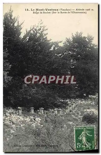 Cartes postales Le mont Ventoux Etage de ruches Sur la route de l&#39observatoire Miel Abeille