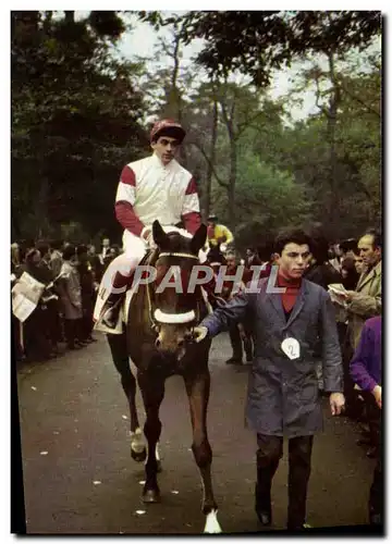 Cartes postales moderne Cheval Equitation Hippisme Postillon Calendrier 1967