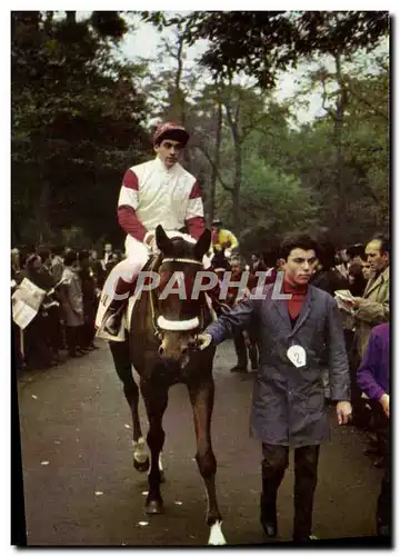 Moderne Karte Cheval Equitation Hippisme Postillon Calendrier 1967