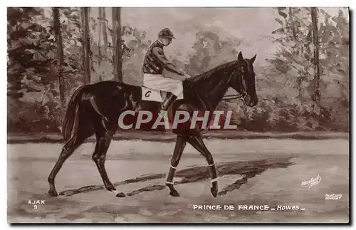 Cartes postales Cheval Equitation Hippisme Fiterari Howes