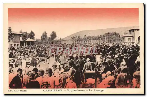 Cartes postales Cheval Equitation Hippisme Cavaillon Hippodrome le pesage