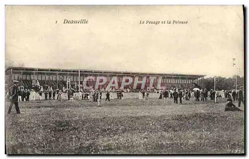 Ansichtskarte AK Cheval Equitation Hippisme Deauville Le pesage et la pelouse