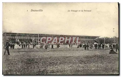 Cartes postales Cheval Equitation Hippisme Deauville Le pesage et la pelouse